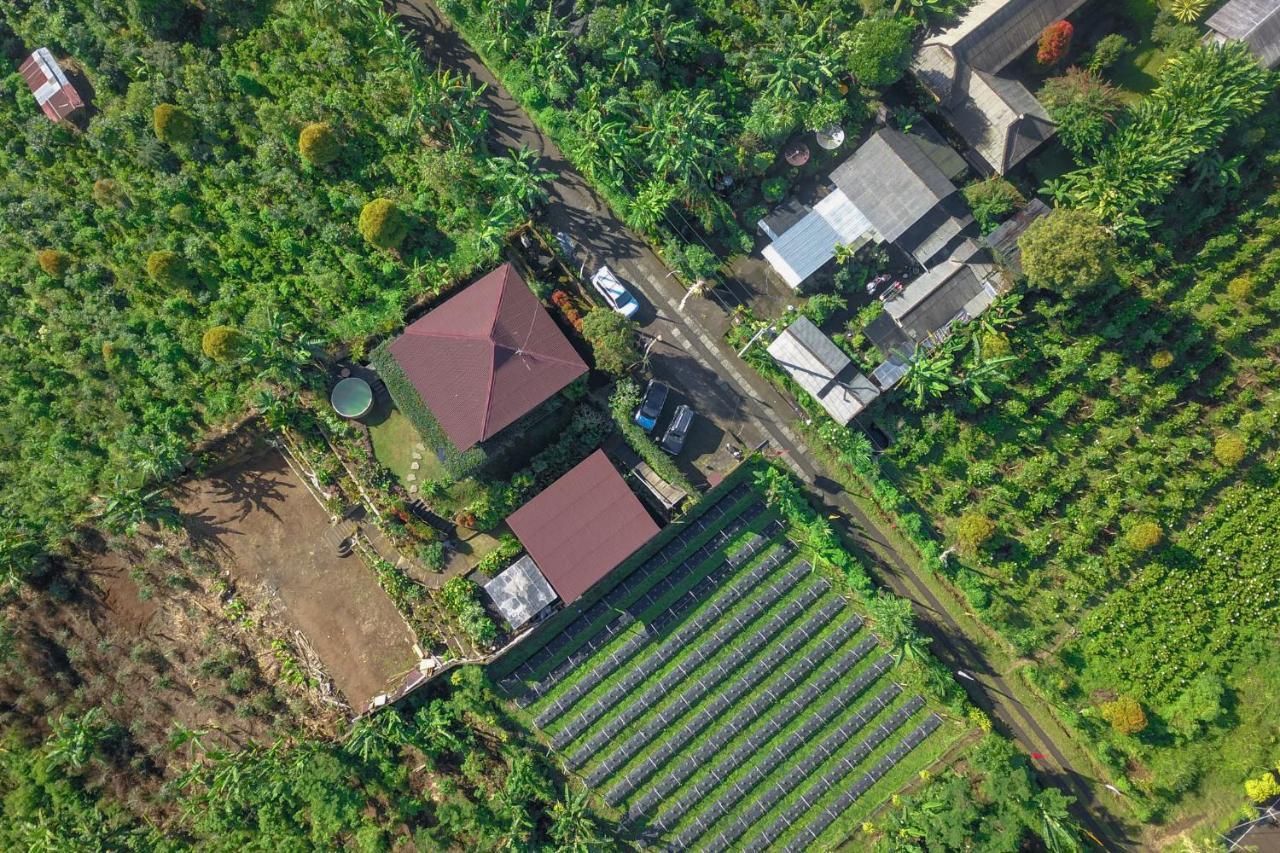 Villa Kayukopi Munduk (Bali)