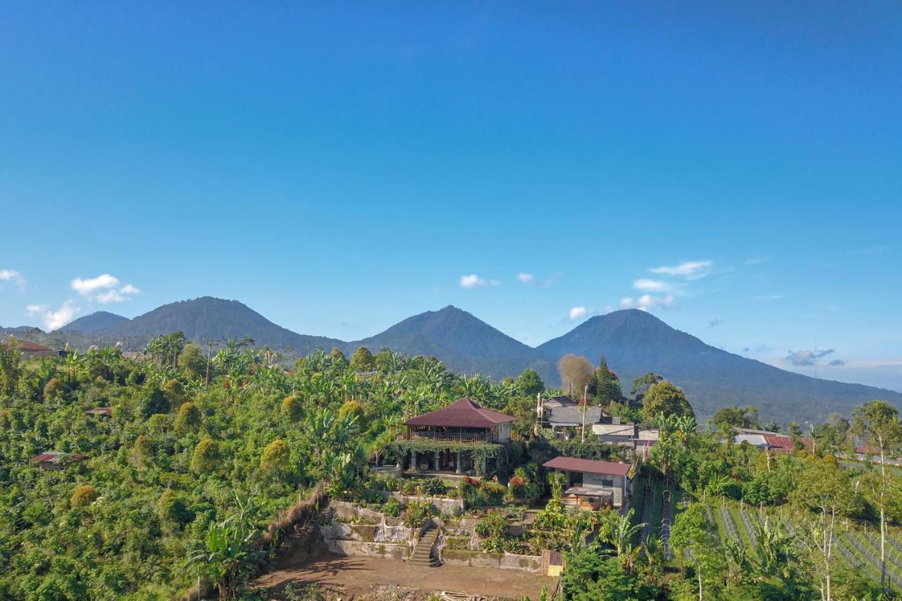 Kayukopi Munduk (Bali)