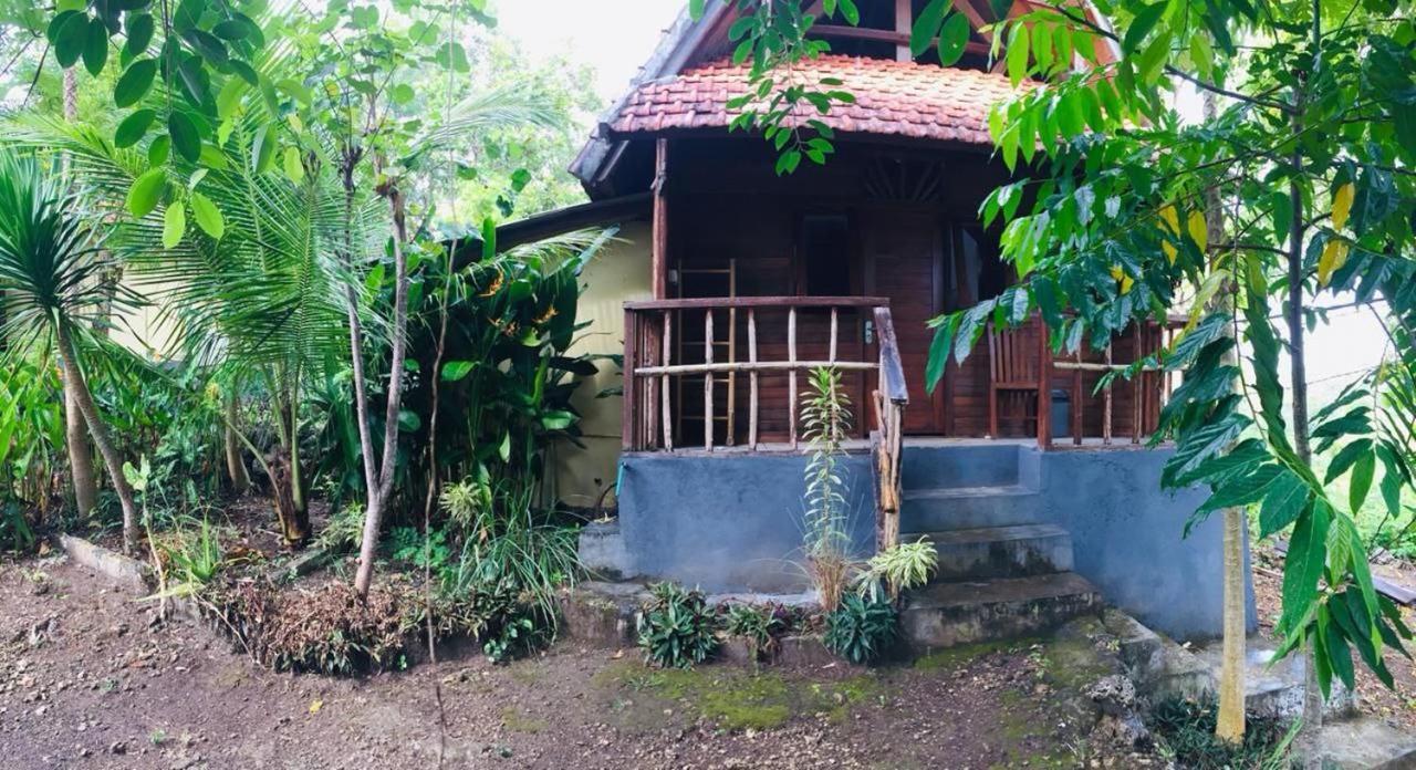 Echo Alam Nusa 2* Toyapakeh