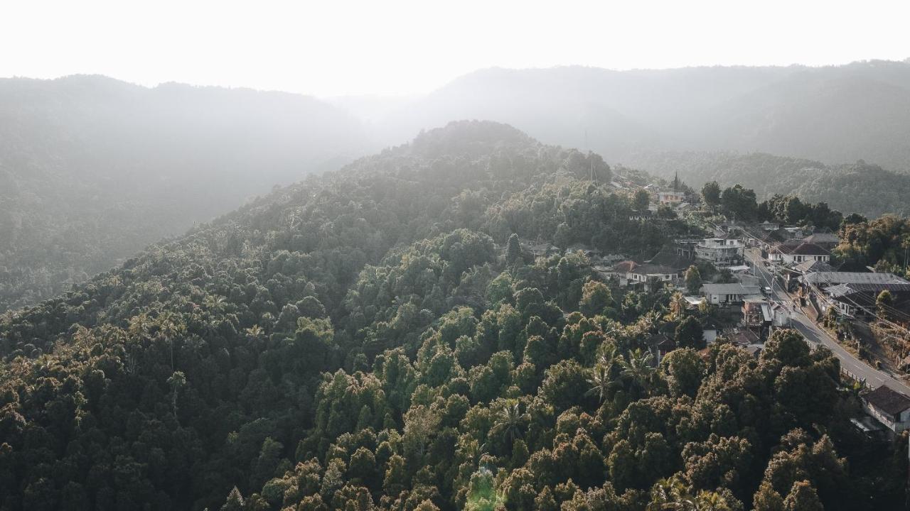Panorama *
