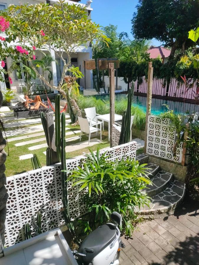 Guest house Bingin 3*