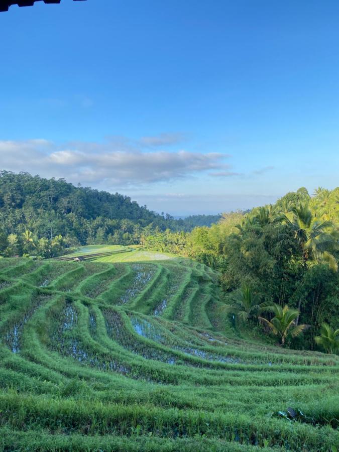 Resort Clove Tree Hill