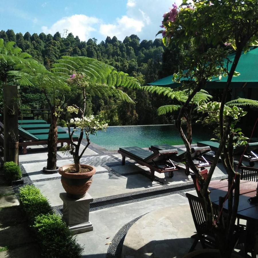 Bintang Munduk (Bali)