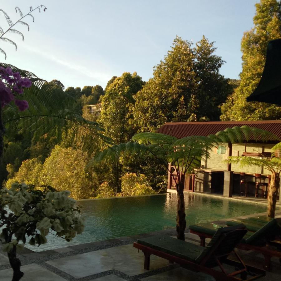 Hotel Bintang Munduk (Bali)