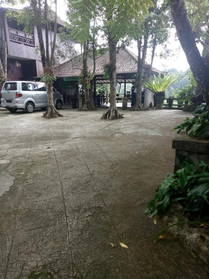Bintang Hotel Munduk (Bali)