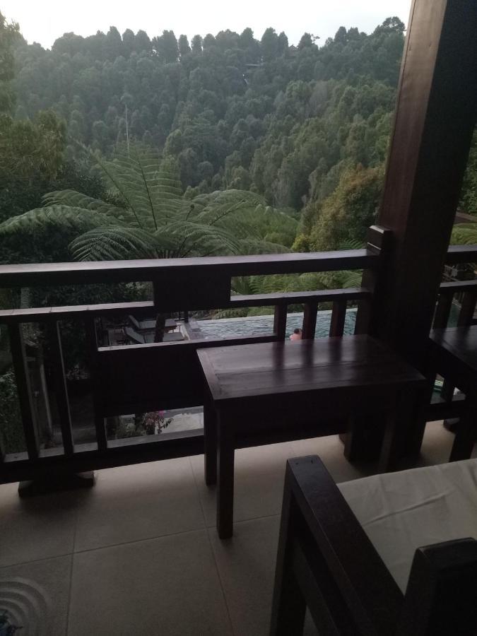 Bintang