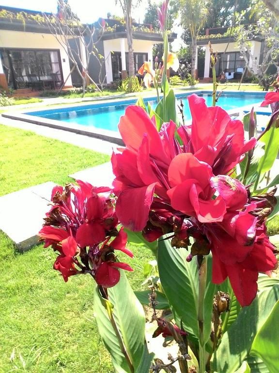 D'mell Bali 3* Nusa Dua (Bali)
