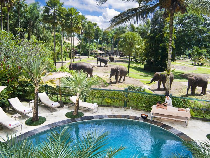 Mason Elephant 5*