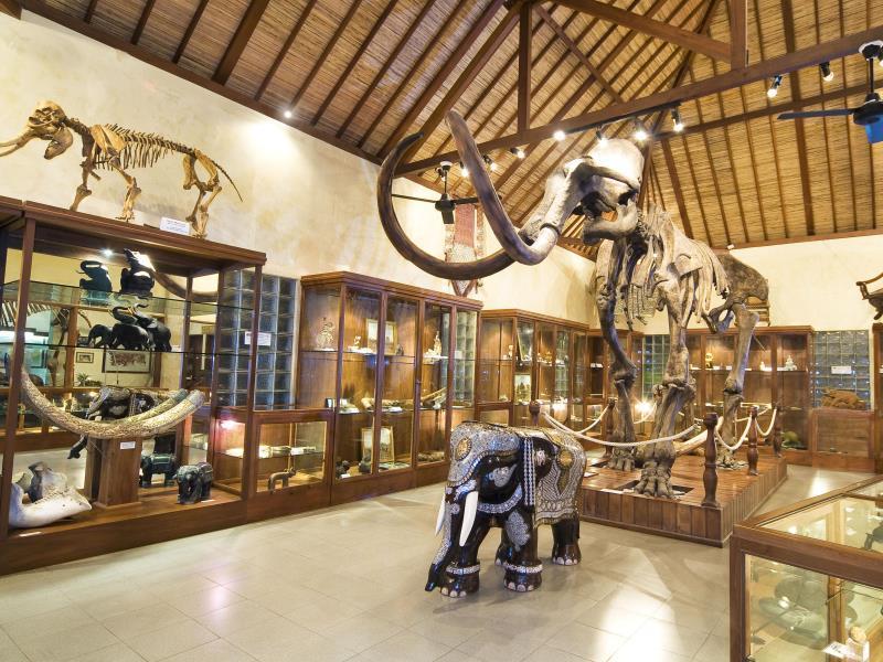 Holiday park Mason Elephant Ubud (Bali)
