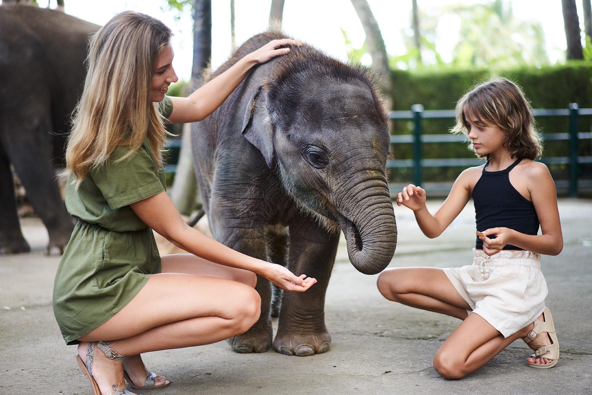 Mason Elephant Holiday park 5*