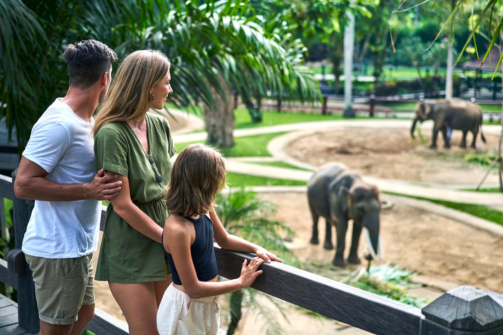 Holiday park Mason Elephant Ubud (Bali)