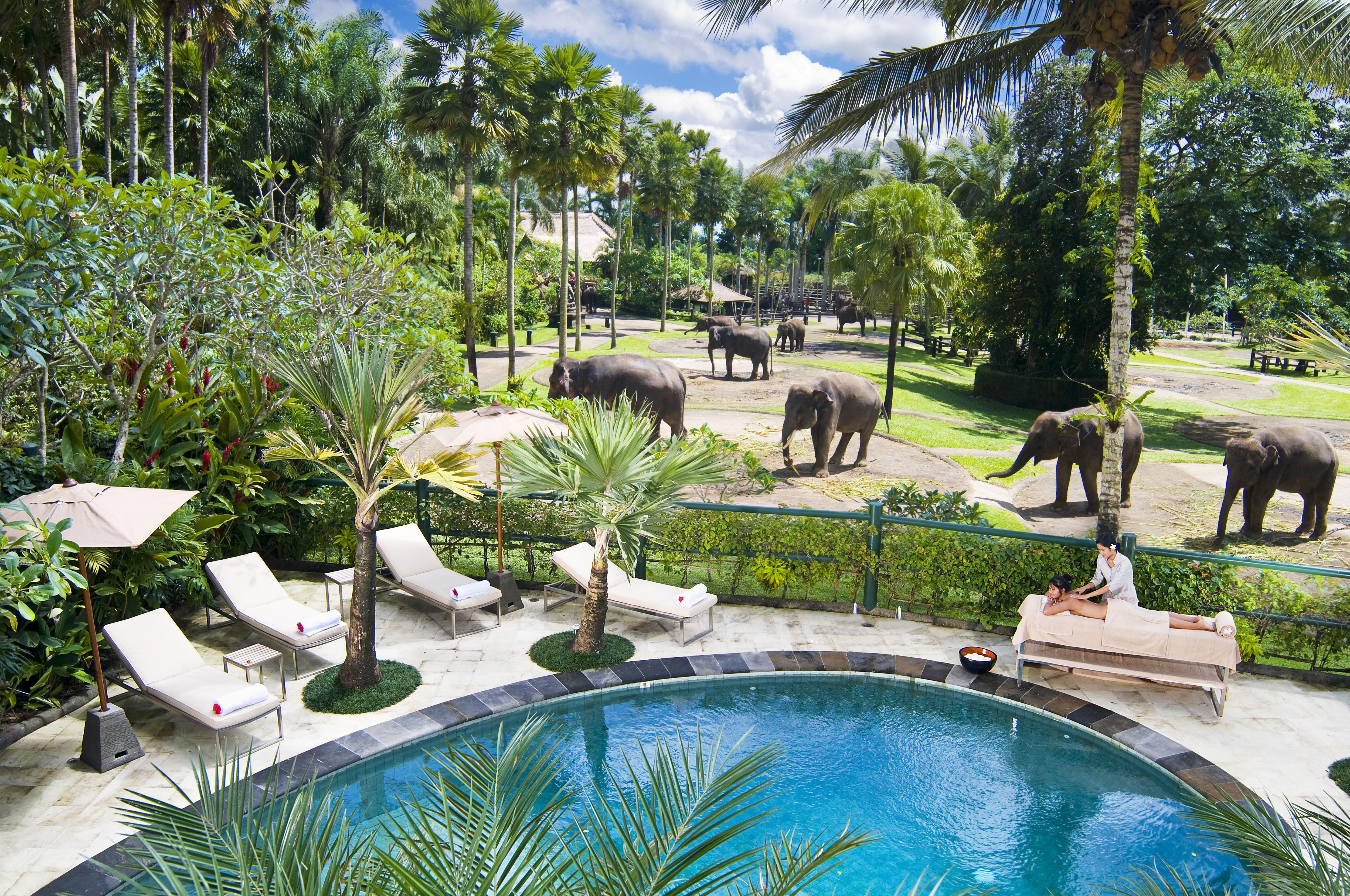 Mason Elephant Ubud (Bali)