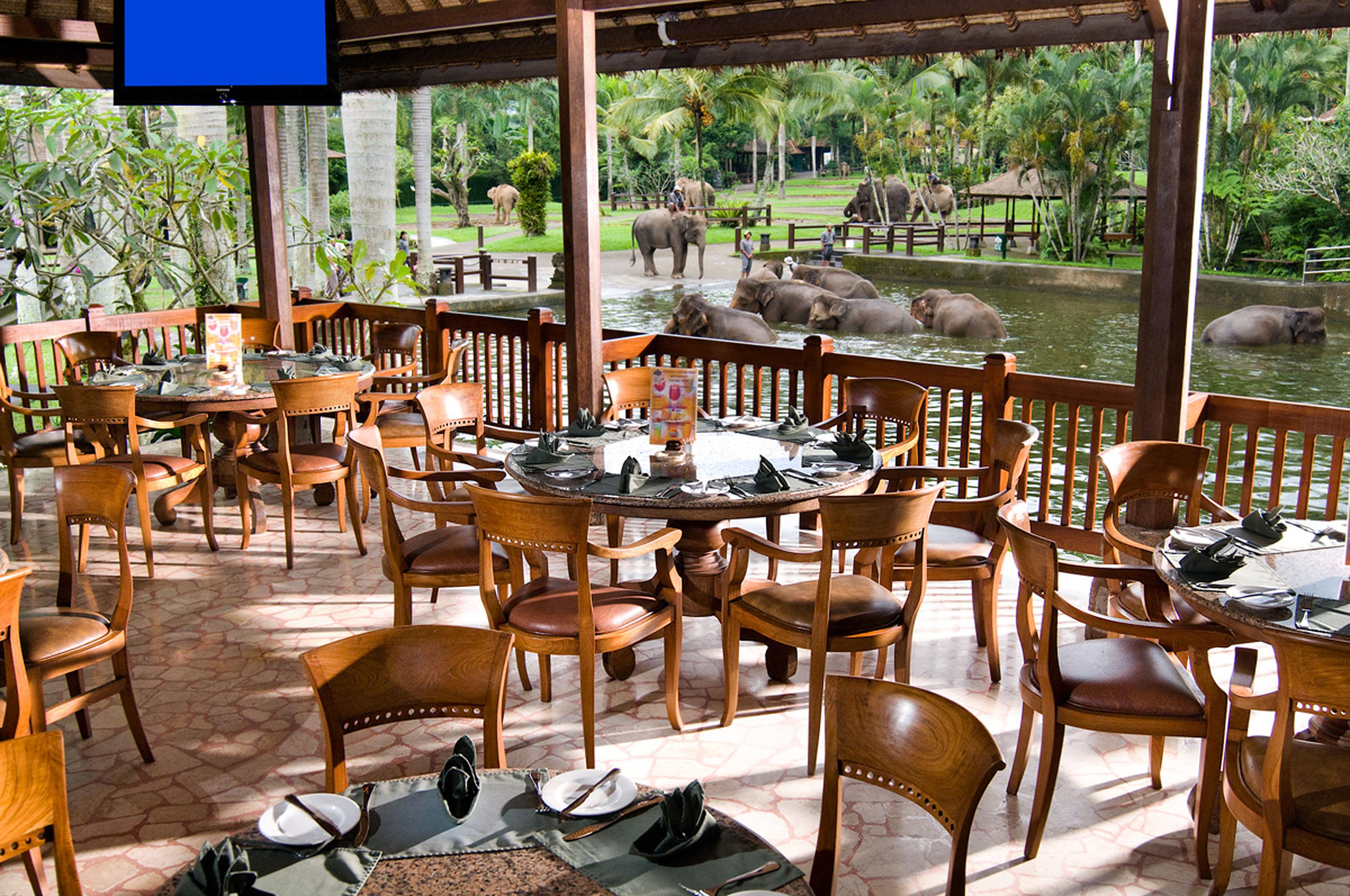 Mason Elephant Holiday park