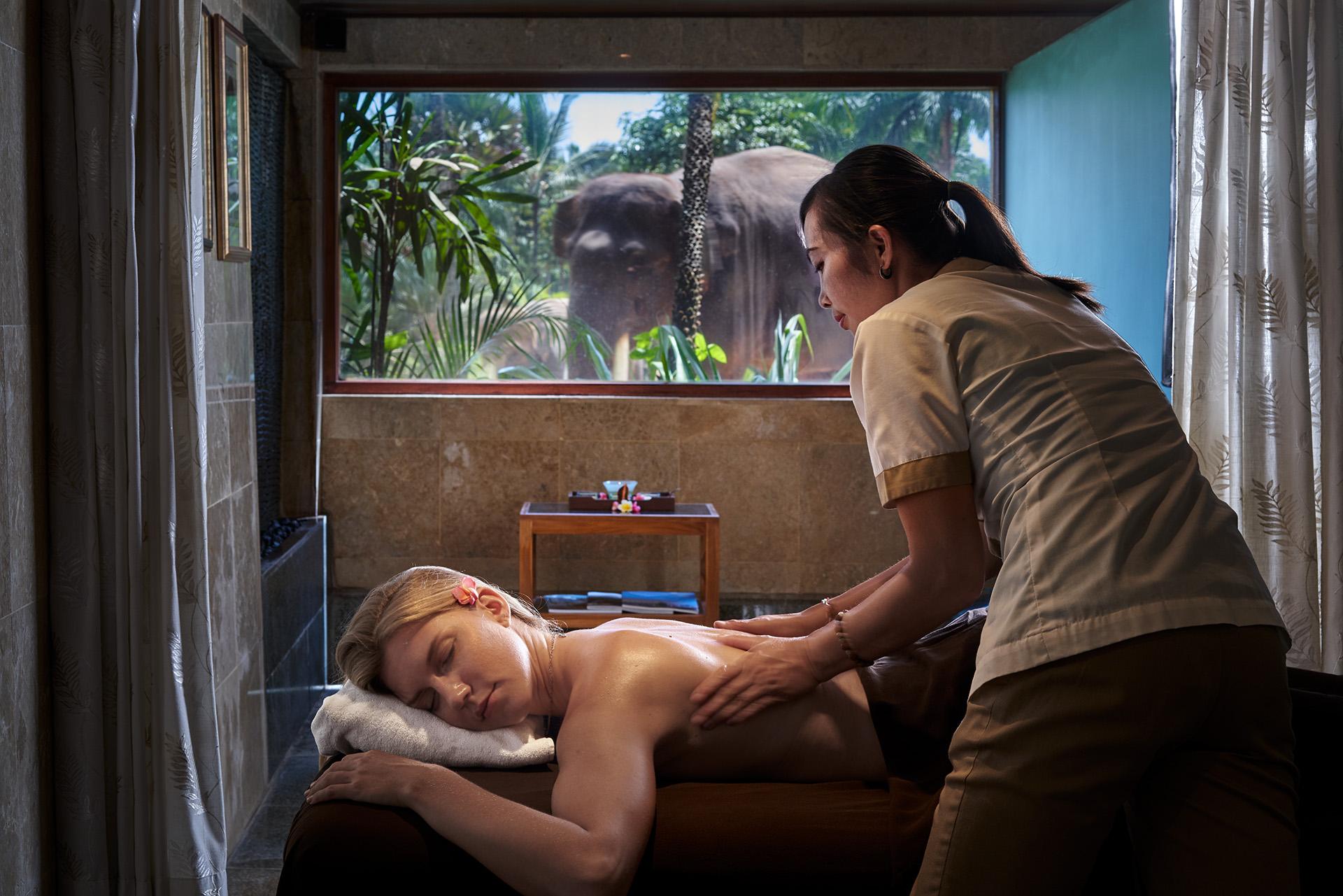 Holiday park Mason Elephant Ubud (Bali)