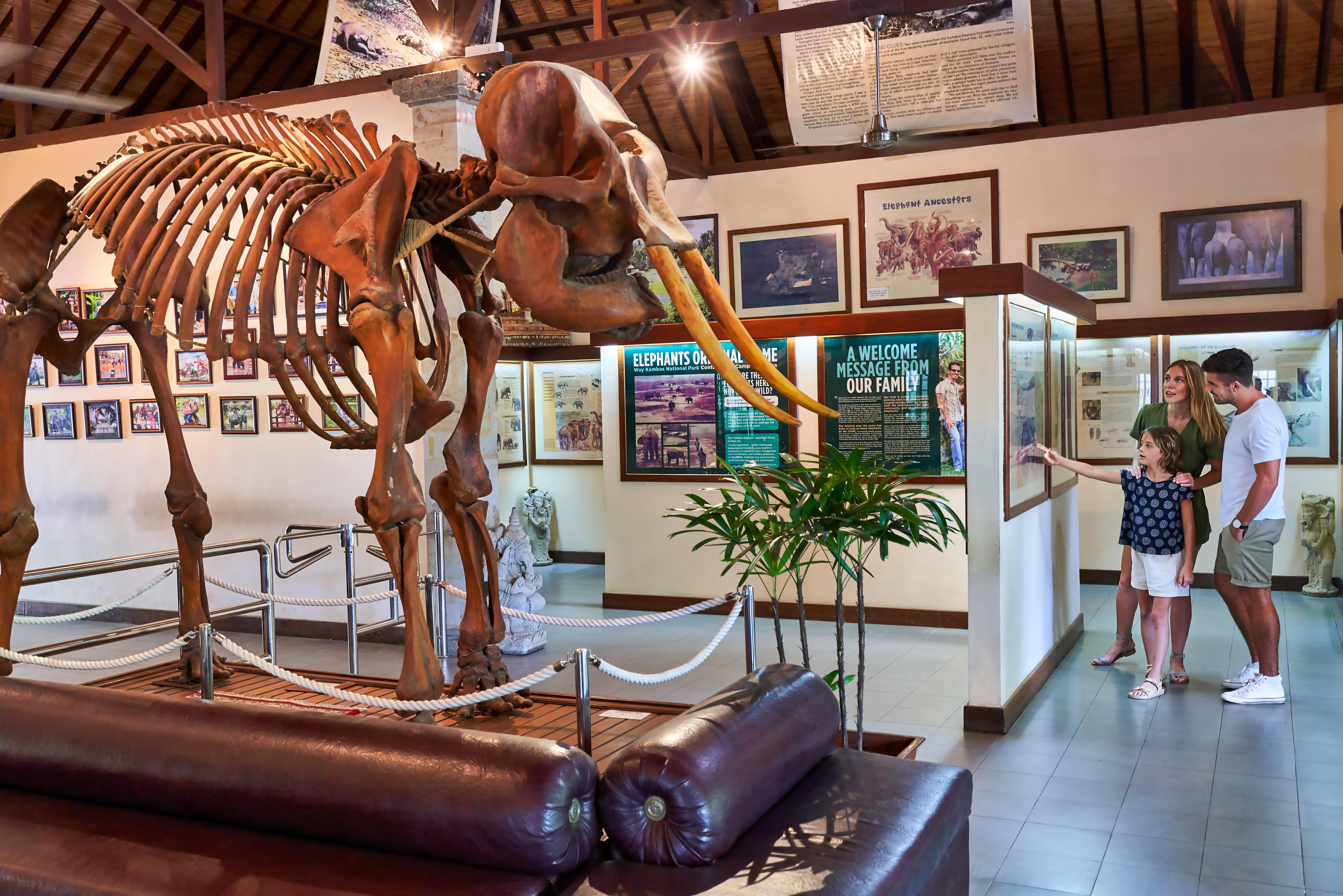 Mason Elephant Holiday park Ubud (Bali)