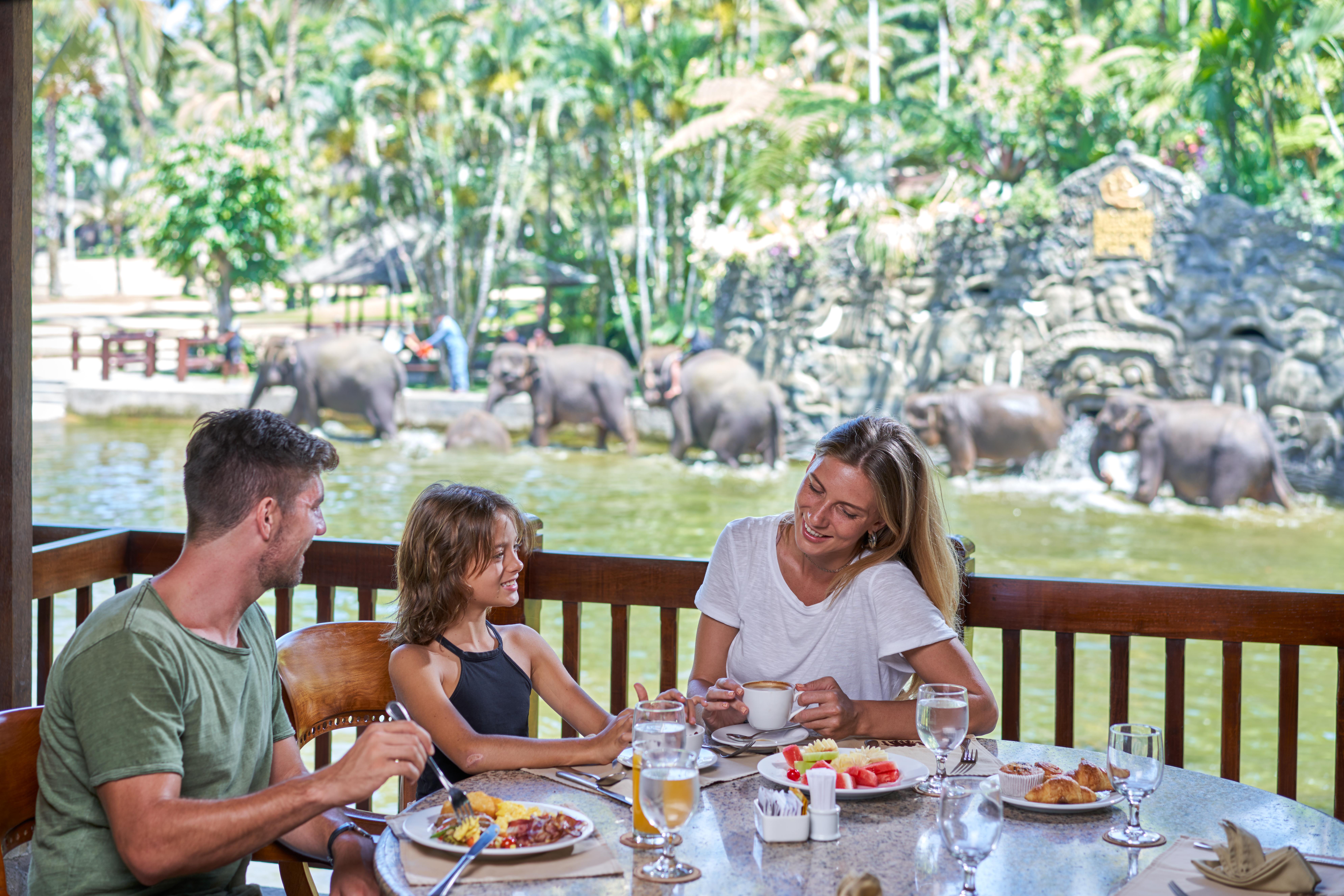 Mason Elephant Holiday park