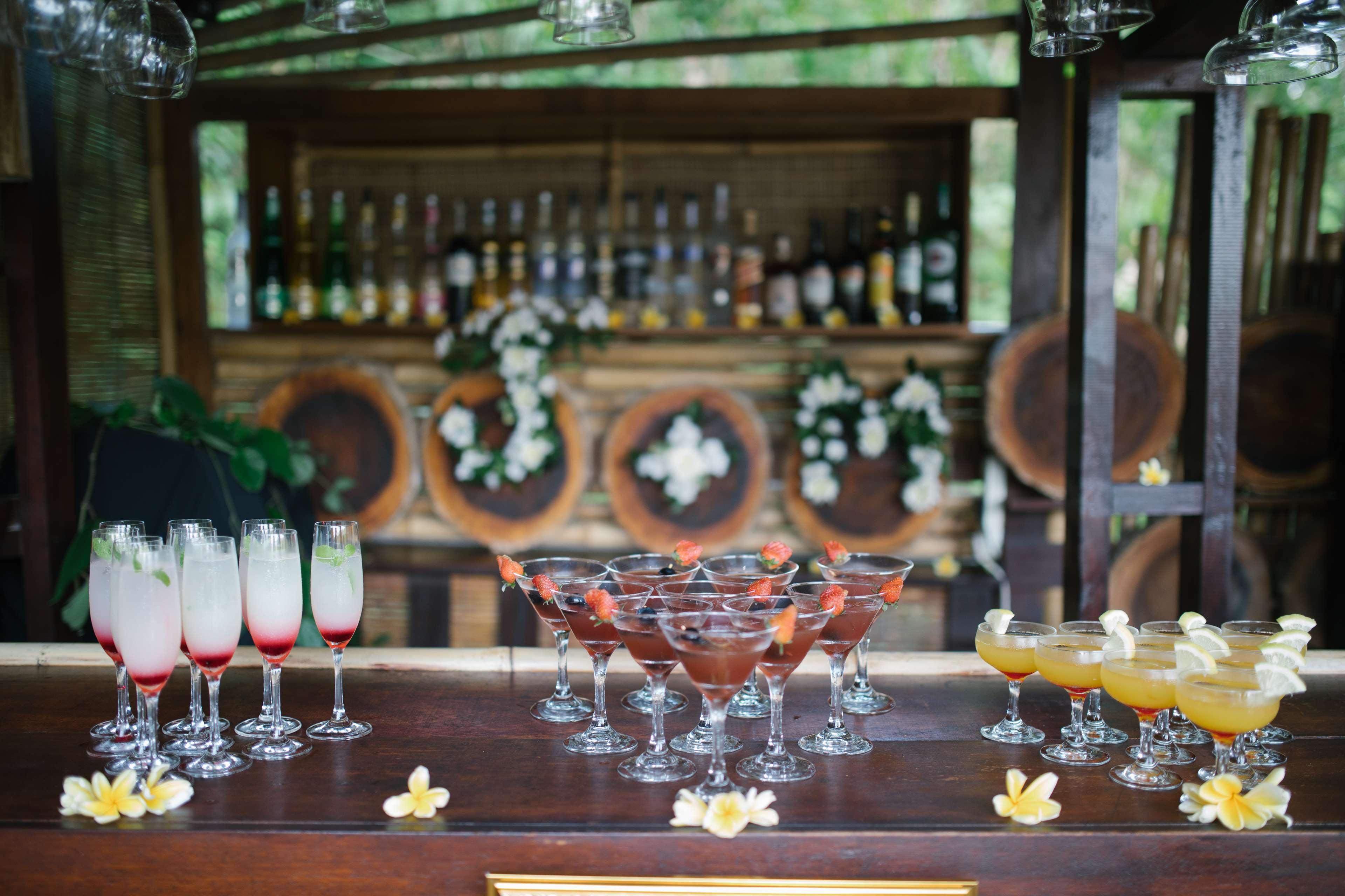 Nandini Jungle By Hanging Gardens 5*