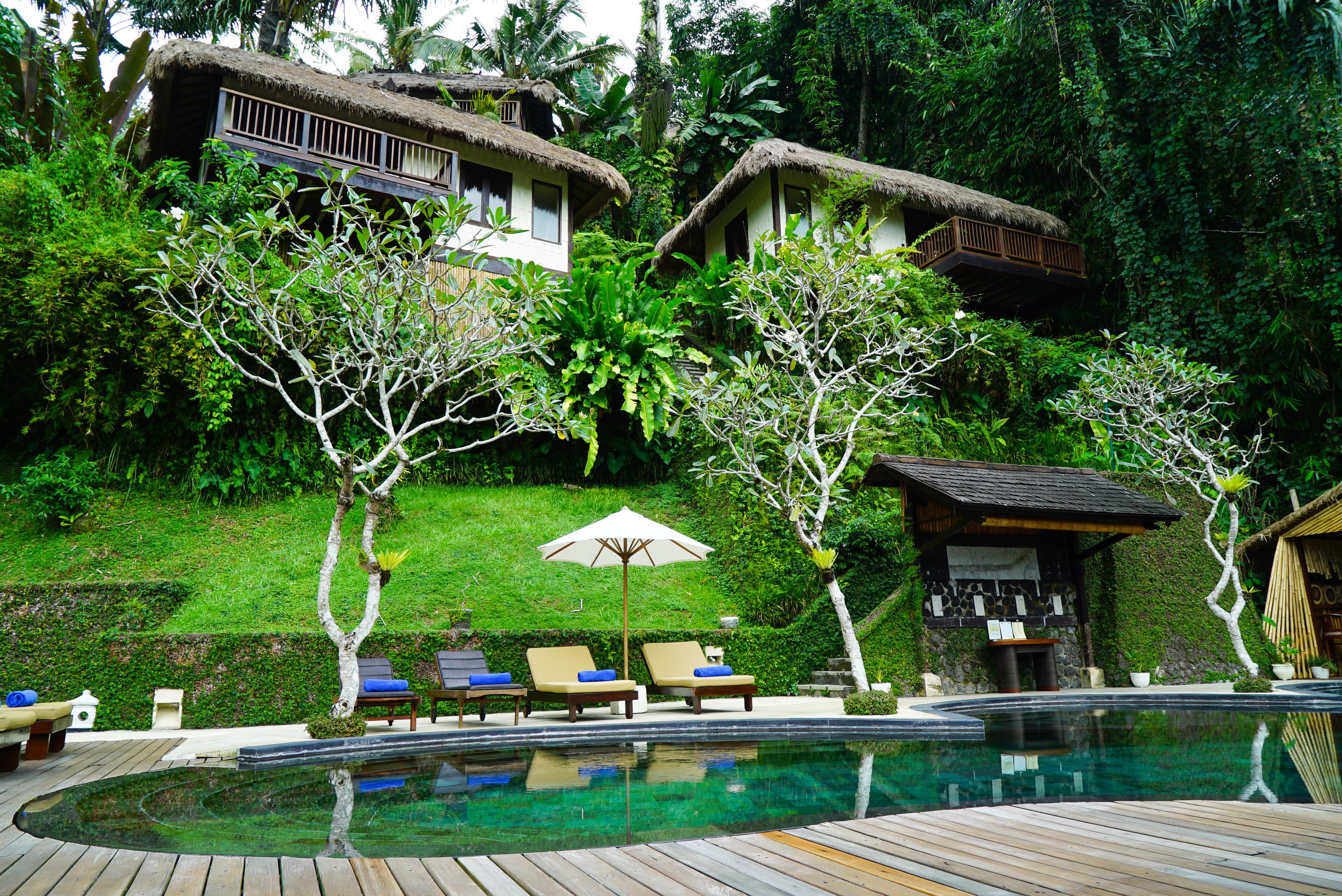 Nandini Jungle By Hanging Gardens