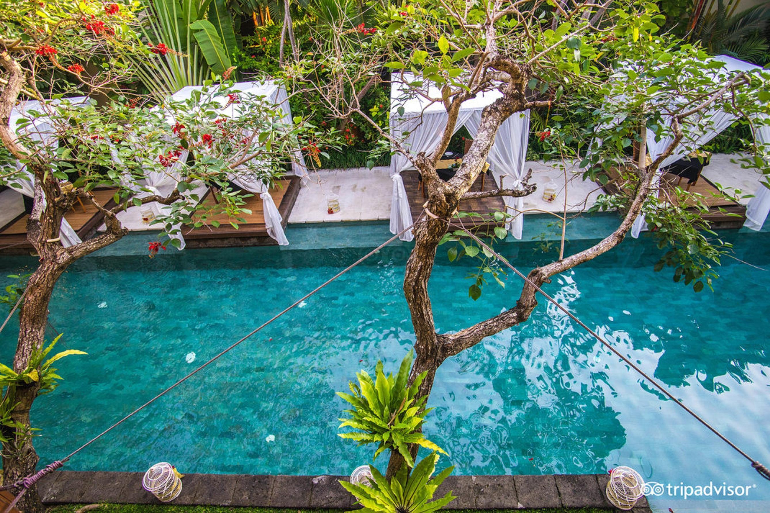 Villa The Elysian Boutique *
