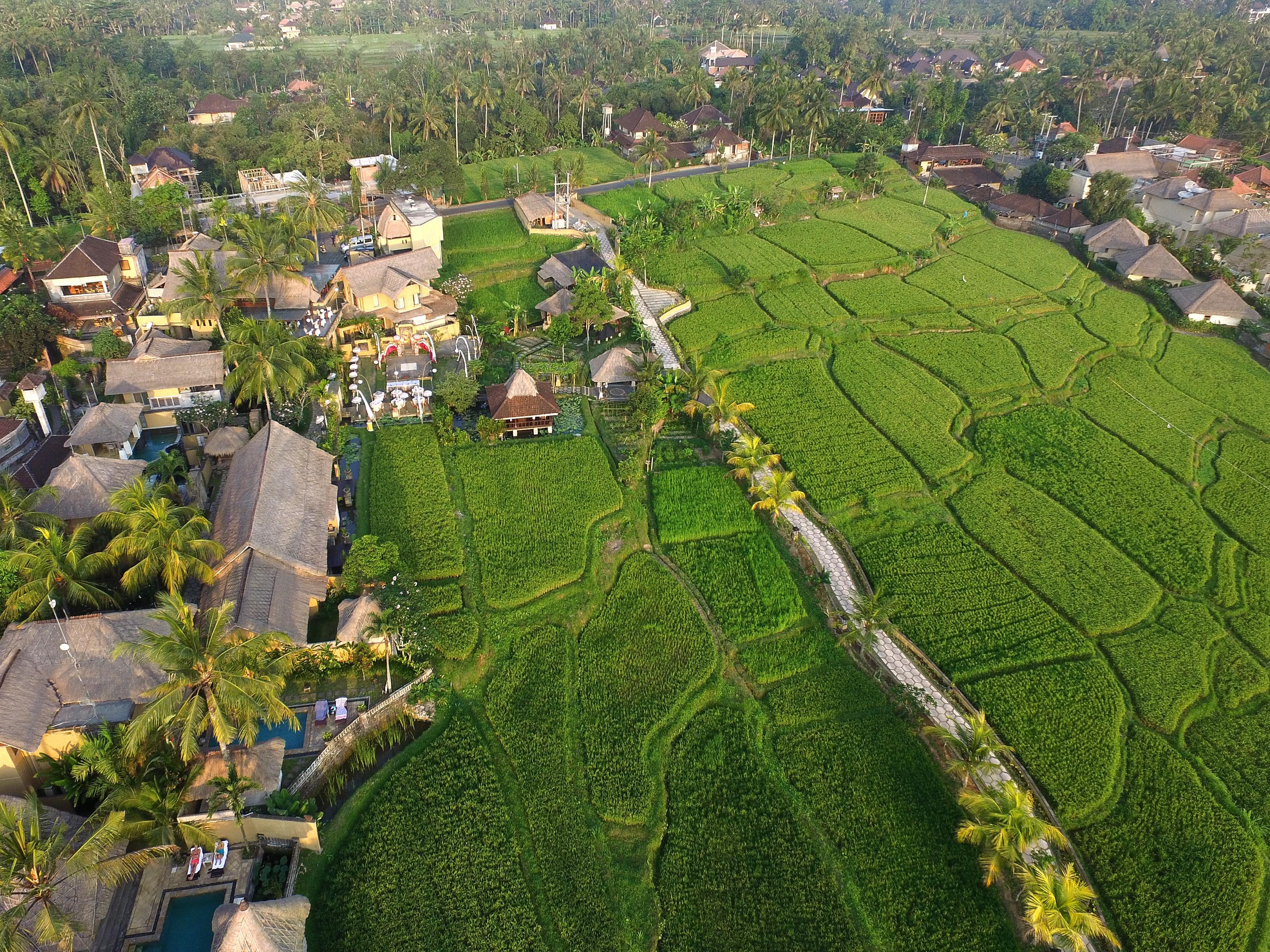 Wapa Di Ume 4* Ubud (Bali)