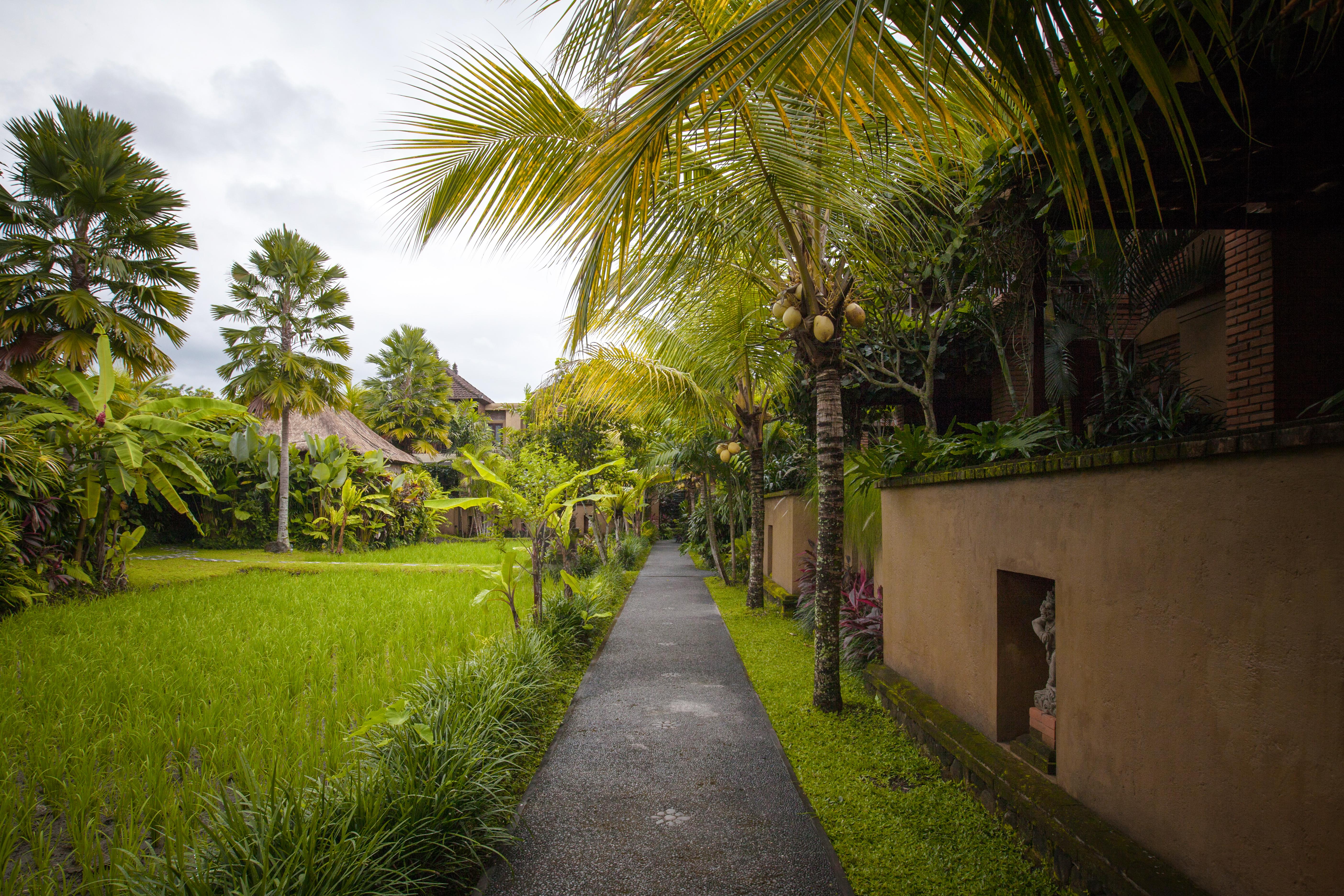 Bebek Tepi Sawah Restaurant & Resort Ubud (Bali)