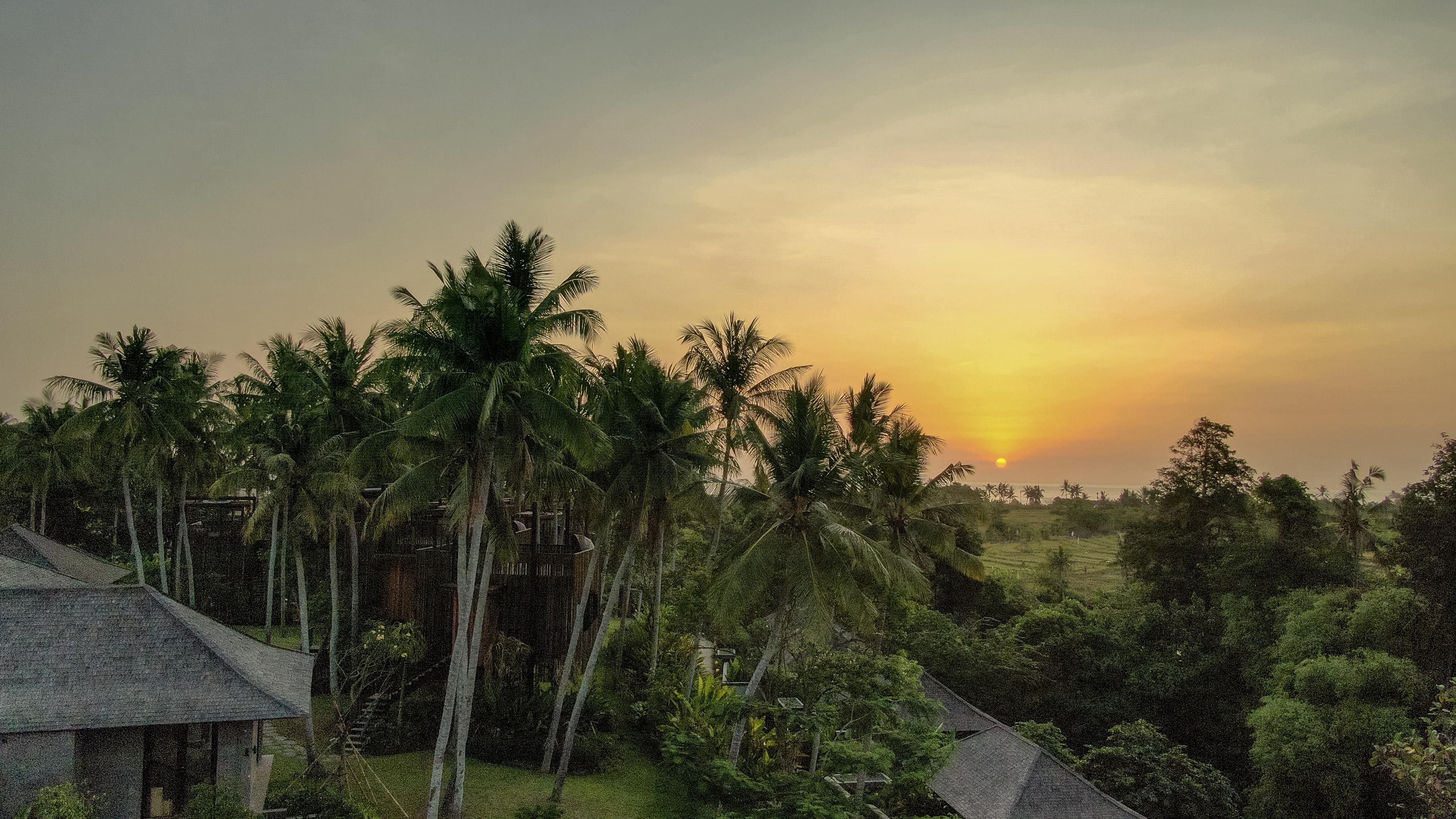 Resort Nirjhara