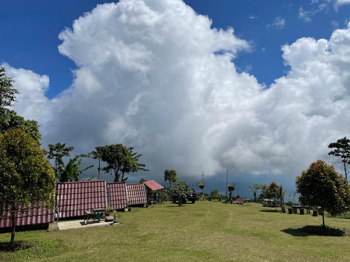 Bugo Camp Glamping & Natural Activity Munduk (Bali)