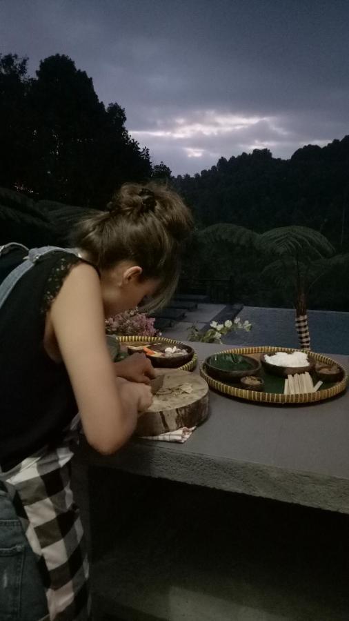 Hotel Bintang Munduk (Bali)