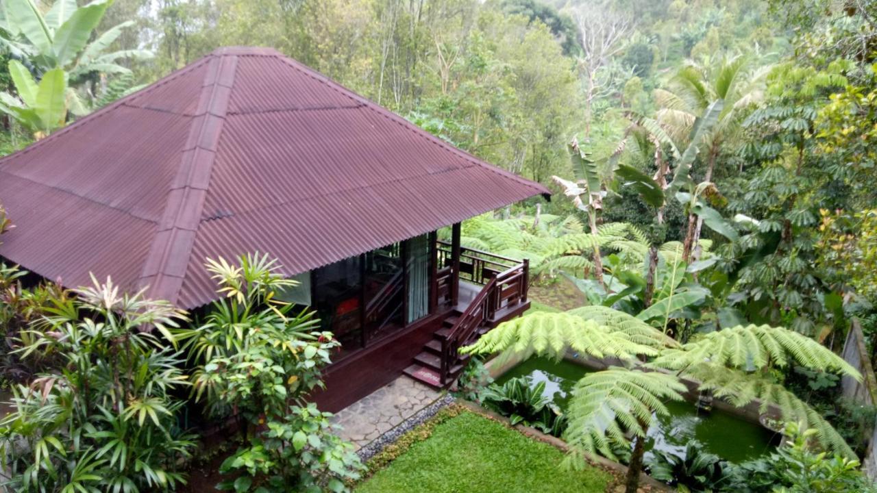 Hotel Bintang Munduk (Bali)