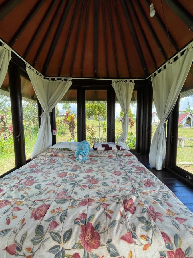Bugo Camp Glamping & Natural Activity