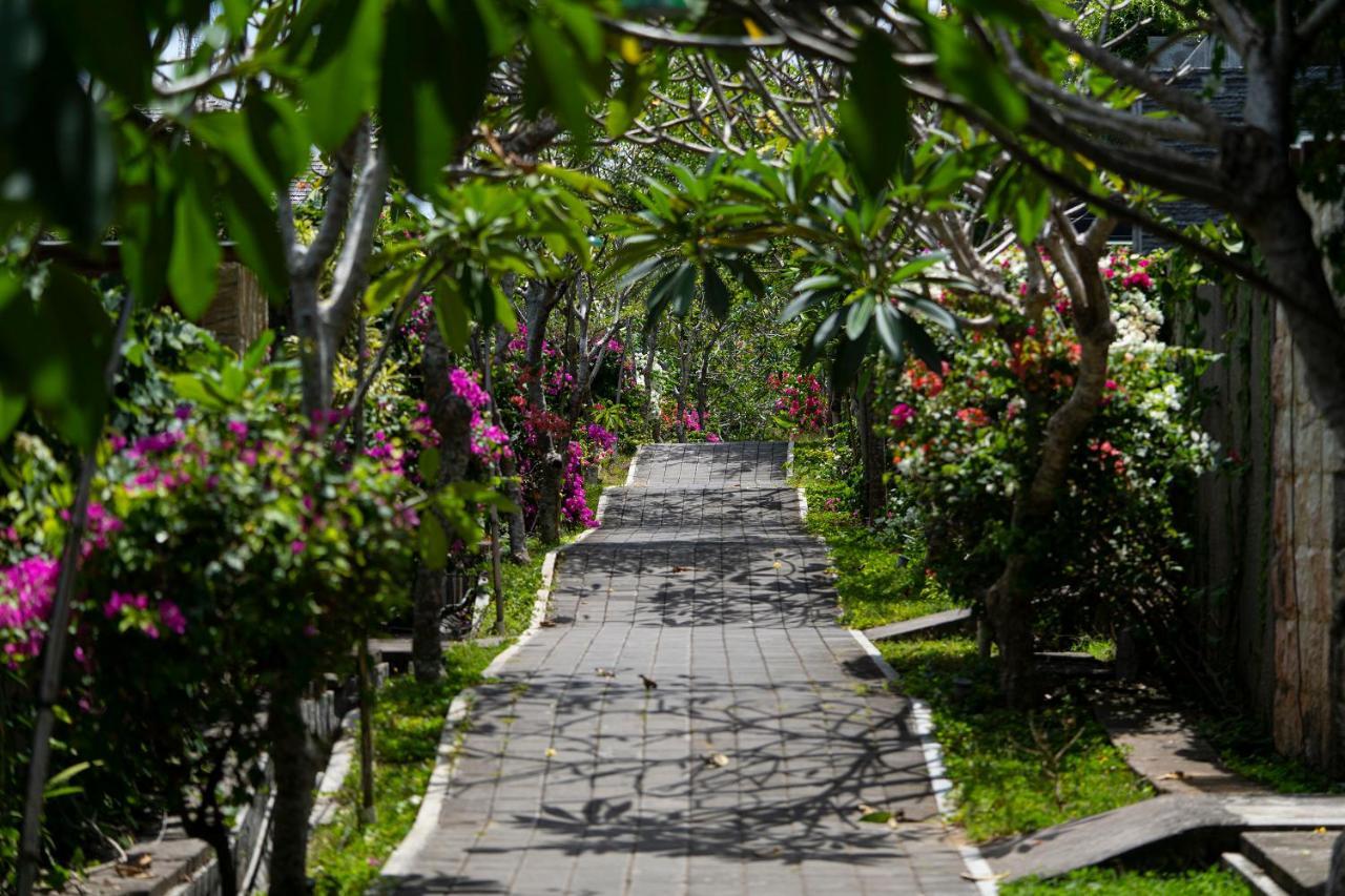 Moritz Palm Ungasan (Bali)