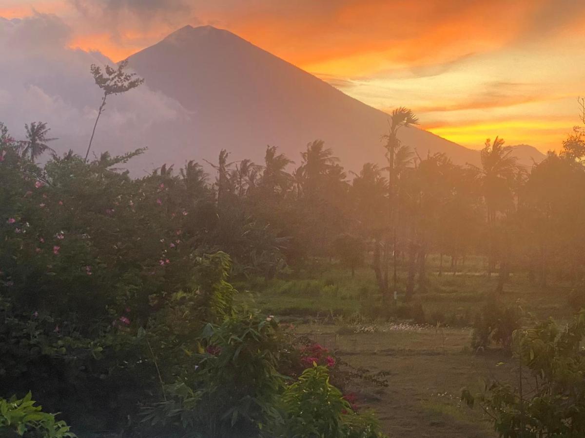 Bali Feel Amed (Bali)