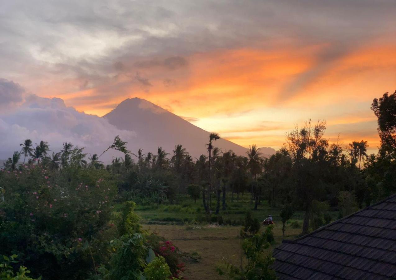 Bali Feel Guest house