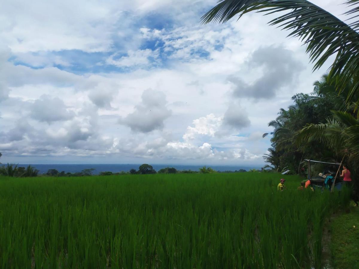 Homestay Tegal Jero