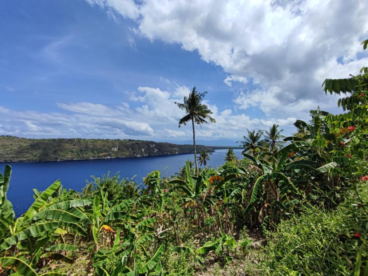 Sakti Oceanview Nusa Penida Holiday park 2*