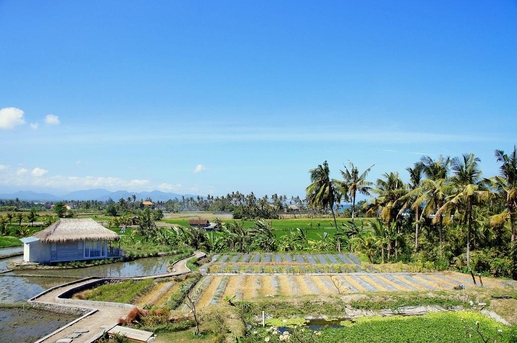 Barn N Bunk Guest house 3*