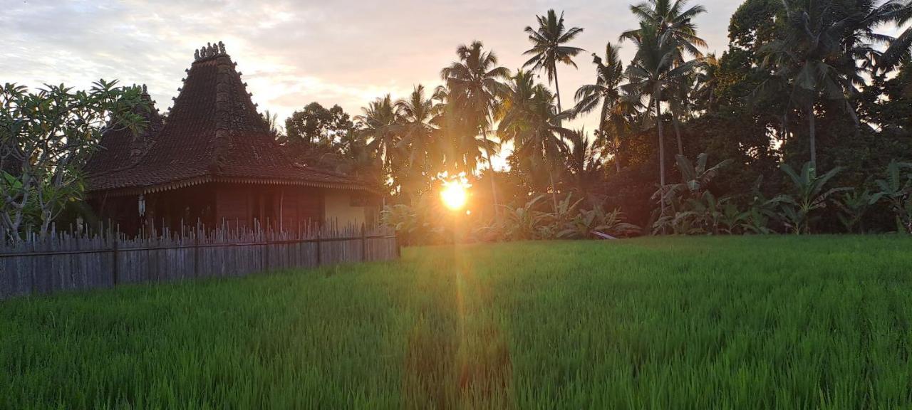 Galang Hari Bed & Breakfast Ubud (Bali)