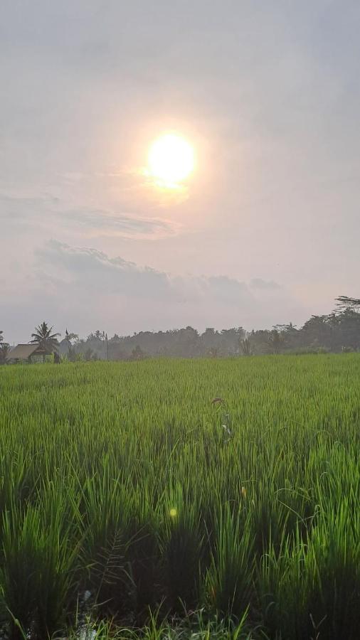 Galang Hari Ubud (Bali)