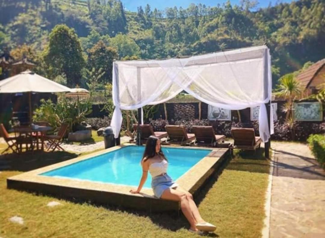 Bunbulan Hill And Hostel Kintamani (Bali)