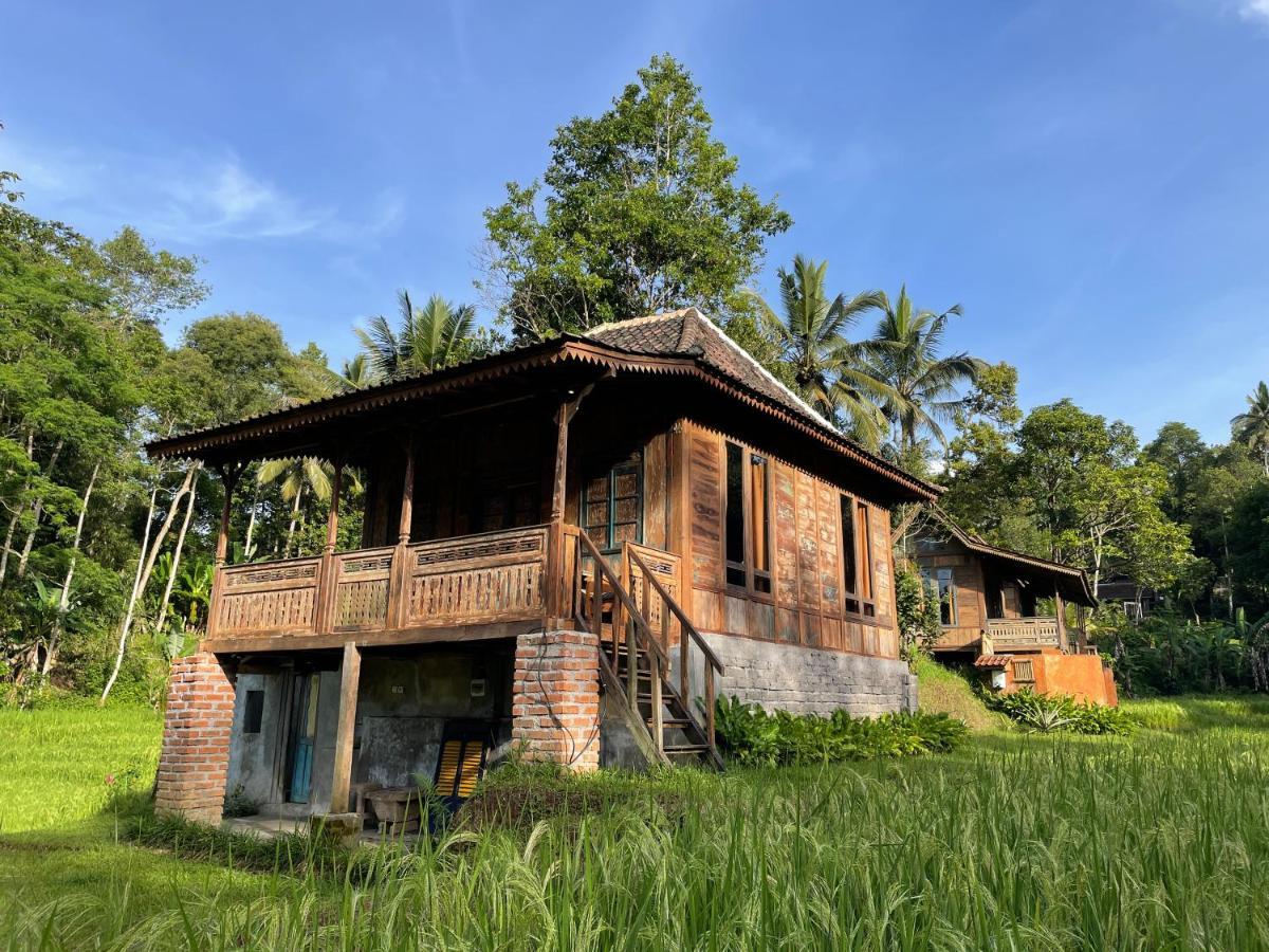 Taman liburan Tepi Sawah Lodge&retreat Jatiluwih