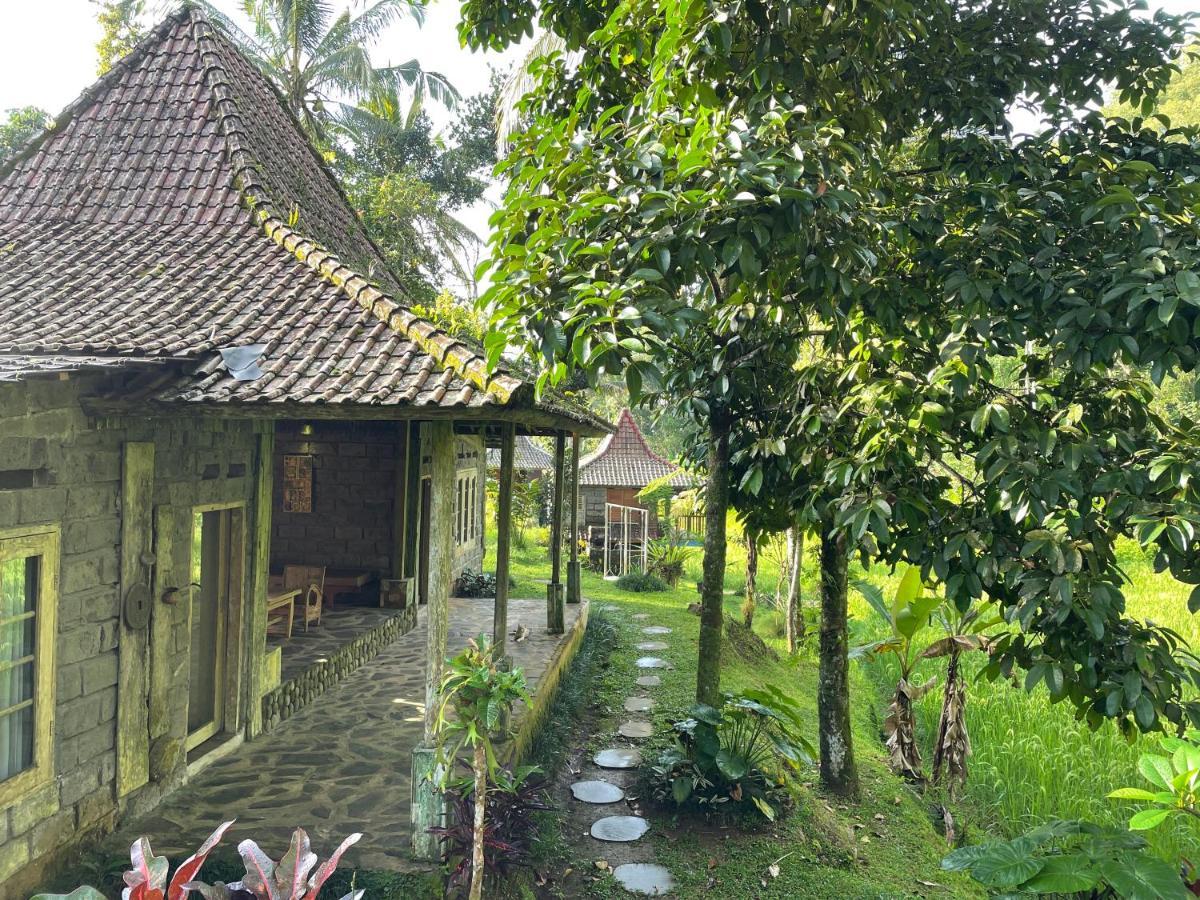 Tepi Sawah Lodge&retreat Jatiluwih