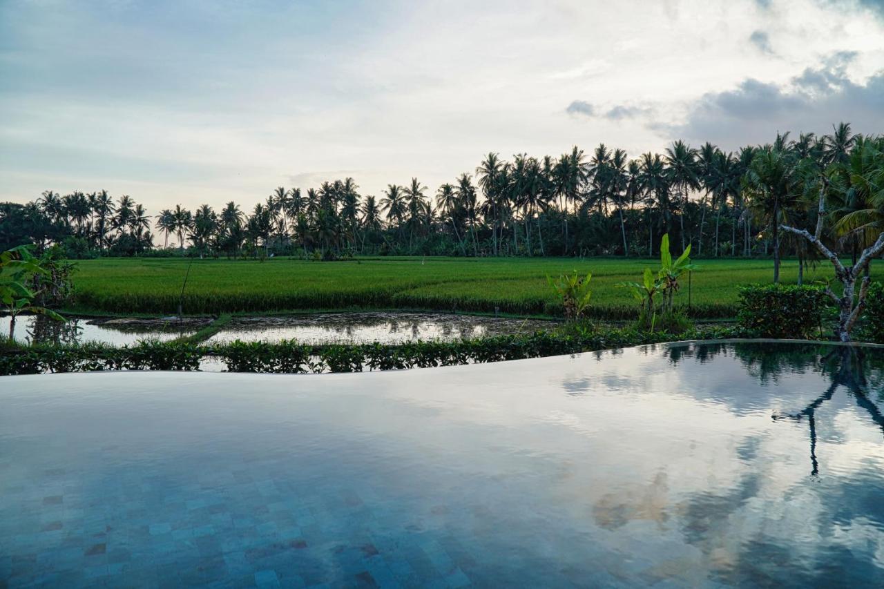 Adil & Ubud (Bali)