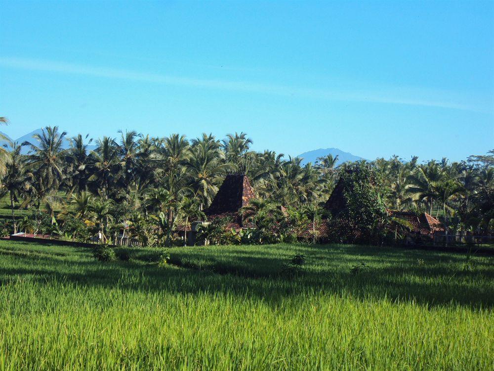 Villa Syailendra *