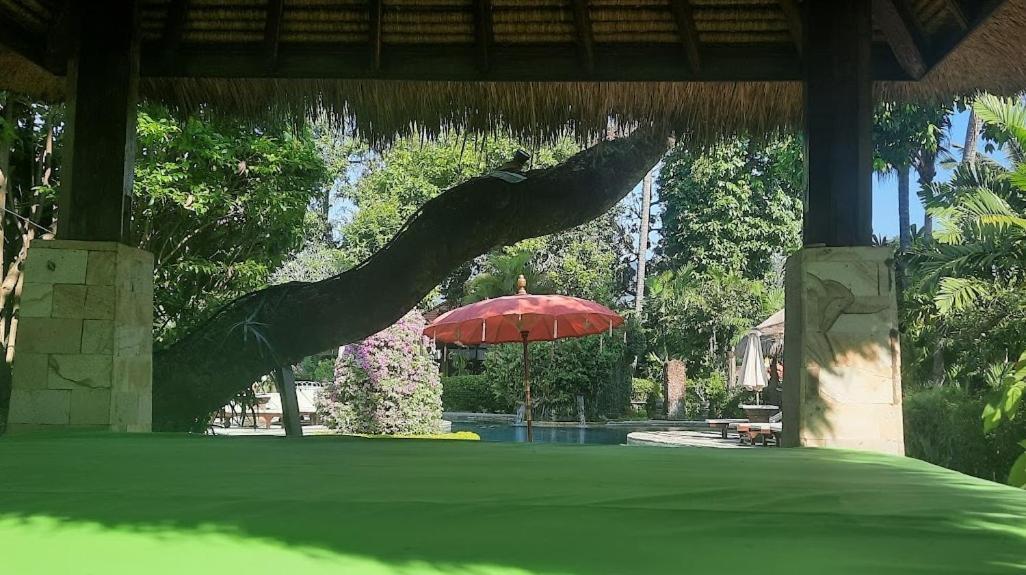 Rambutan Lovina (Bali)