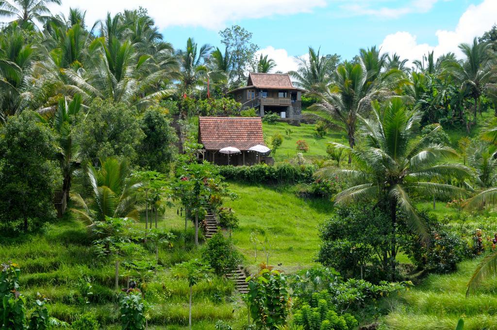 Bali Lush Bed & Breakfast Selemadeg (Bali)