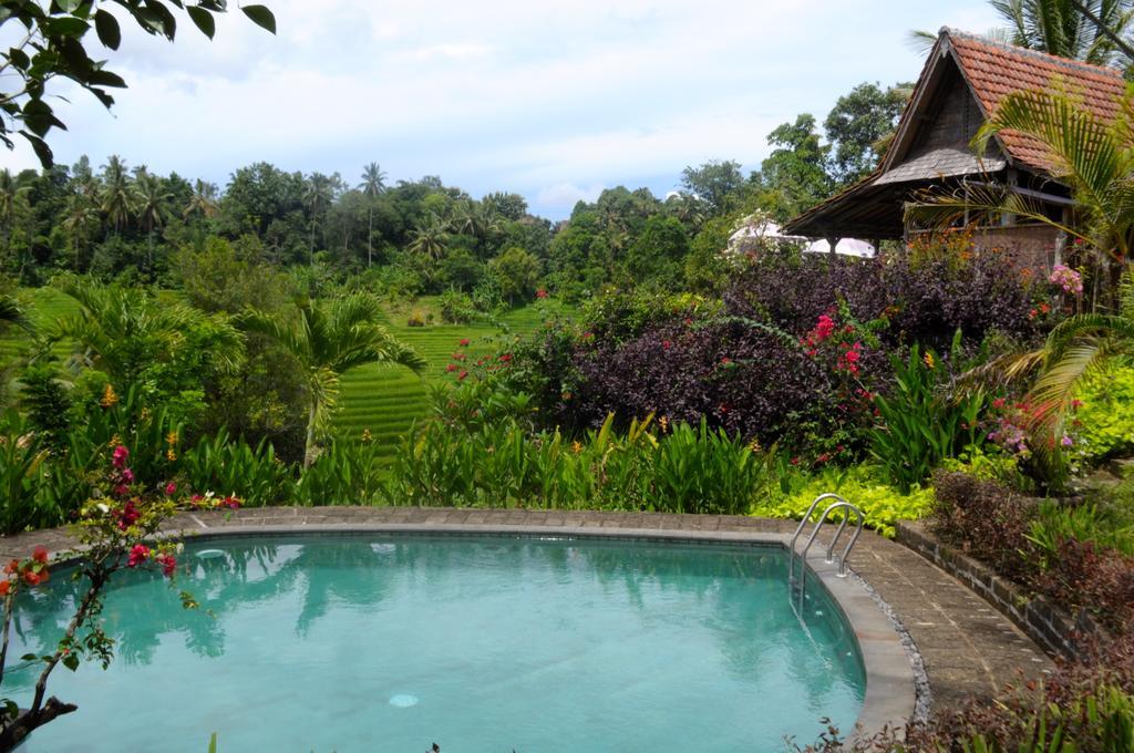 Bed & Breakfast Bali Lush Selemadeg (Bali)