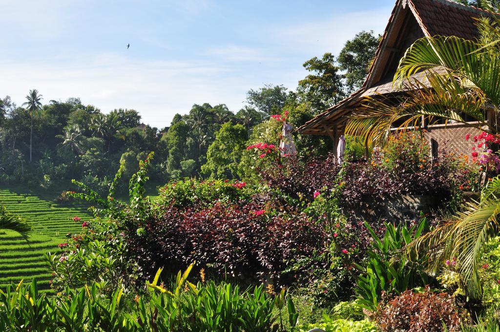 Bed & Breakfast Bali Lush Selemadeg (Bali)
