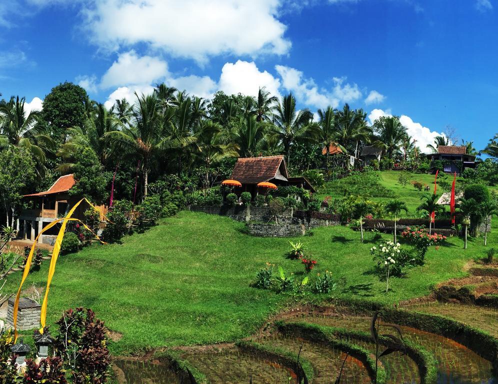 Bed & Breakfast Bali Lush 3*