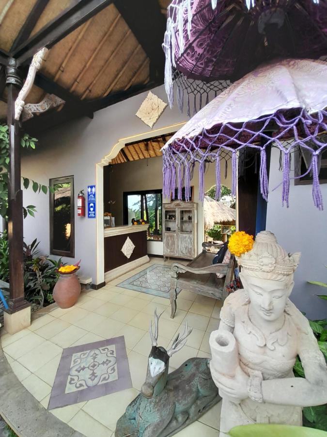 Life In Amed (Bali)