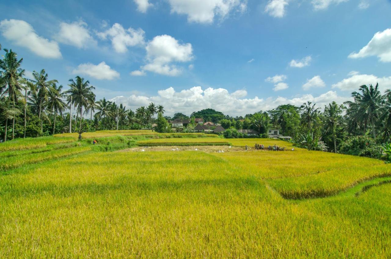 Hotel Danakha Ubud